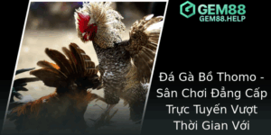 A Ga Bo Thomo San Choi Ang Cap Truc Tuyen Vuot Thoi Gian Voi Gem88