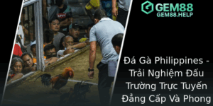 A Ga Philippines Trai Nghiem Au Truong Truc Tuyen Ang Cap Va Phong Phu Cung Gem88