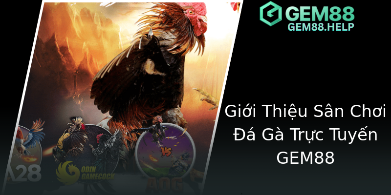 Giới Thiệu Sân Chơi Đá Gà Trực Tuyến GEM88 Giới Thiệu Sân Chơi Đá Gà Trực Tuyến GEM88