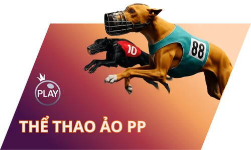 The Thao Ao Pp